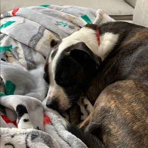 Meet your Posher, Bill